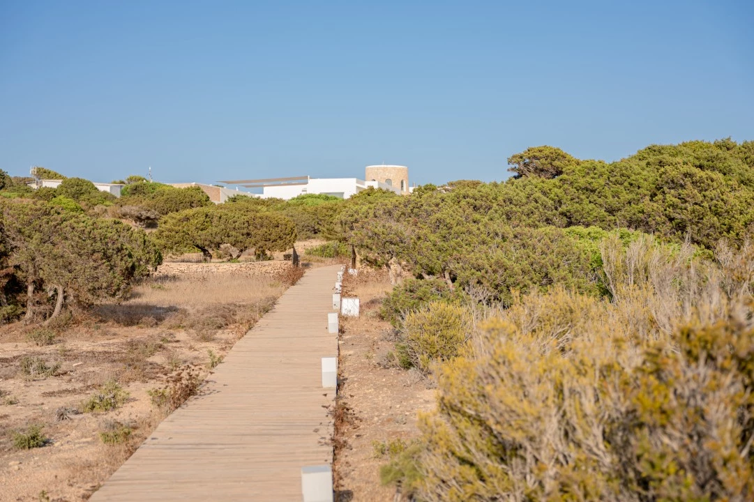 1685638336- Prospectors Luxury real estate Ibiza to rent villa Eden spain property rental sunset view private island sea beach garden outside.webp